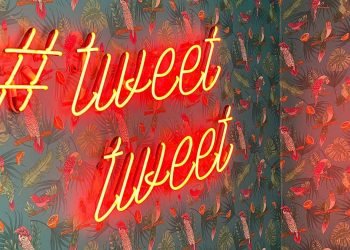 Twitter monetization updates