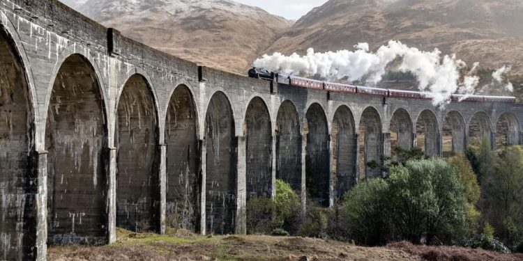 Harry Potter and The Magic of Social Media