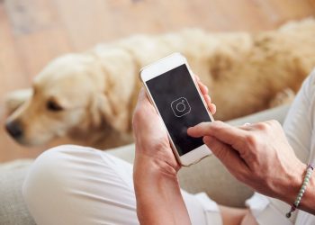 Picture of instagram