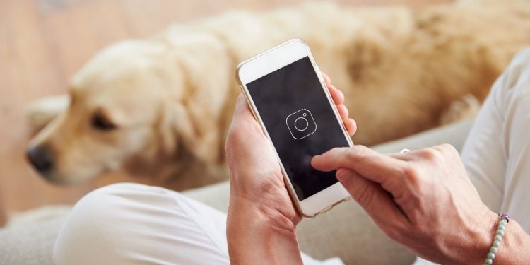 Picture of instagram