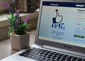 Picture of a flower and a Facebook platform