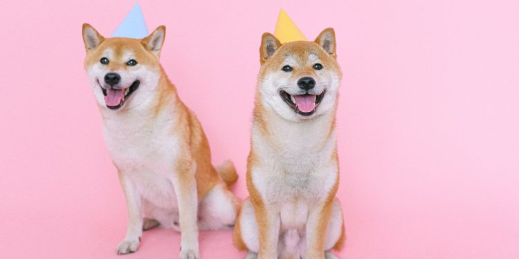 The Biggest Dog Influencers and Why You Need Them