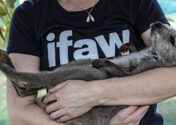 Influencers and Social Responsibility: The Guidelines