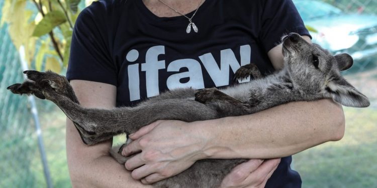 Influencers and Social Responsibility: The Guidelines