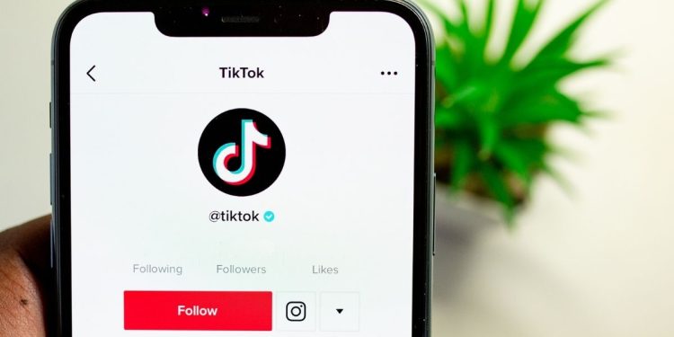 TikTok Trends in February 2022