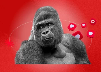 Instagram June 2025 trends: vintage music, summer aesthetics, and AI gorilla content