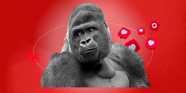 Instagram June 2025 trends: vintage music, summer aesthetics, and AI gorilla content